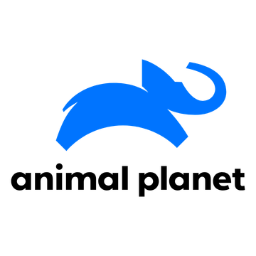 Animal Planet logo
